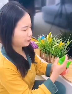 Citrus Fruit Juice Sprayer (Set of 2)