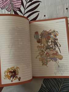One Piece Notebooks (Set of 2)