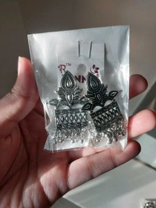 Silver Dangle Earrings