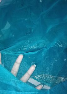 Whole Saree Set! Vintage Green! Sparkly Sequence