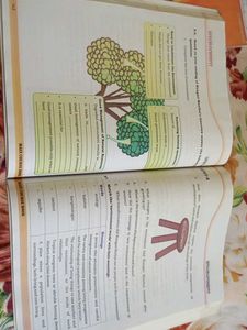 Class X Main Course Book (English)
