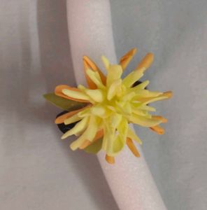 Floral Hair Tie Set