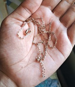 Delicate Gold Chain Necklace