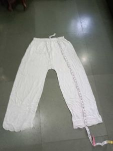 Plazo Pant