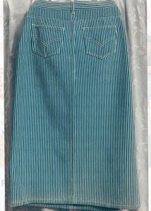 Blue Striped Denim Skirt
