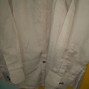 Formal Full Sleeves Branded Shirt
