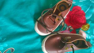fancy colour shoes