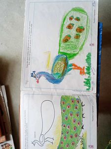 Drawing And Colouring Book