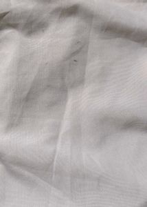 White Blouse with Ruffle Sleeves