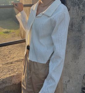 Imported Korean Crop Shirt
