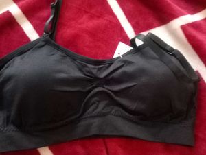 Padded Bra