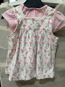 ‼️Price Drop‼️Pink Flamingo Frock