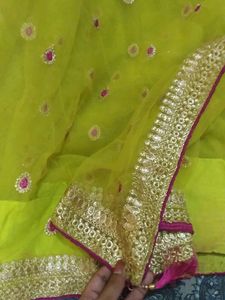 Beautiful Net Saree