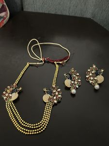 Brand New Beautiful Trending Peacock Tushi