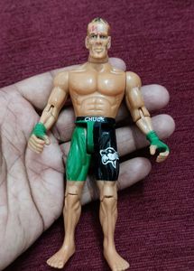 WWE Action Figures