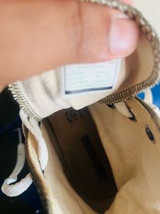 Converse Olive Green  High Tops