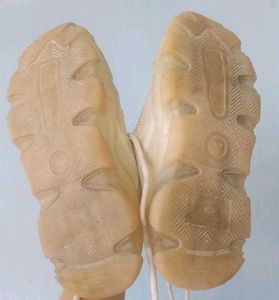 Shoe Size 36