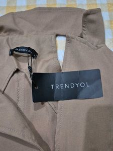 Brown Chic Look Corset Top
