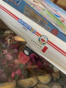 Large Aeroplane