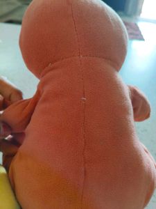 Small Teddy With Sunglass