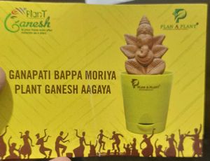 Plant Ganesh Idol in Pot