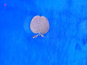 Royal Blue Silk Saree &amp; Blouse