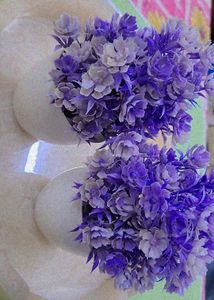 Plastic Flower Pots