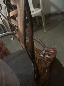 Gold Metallic Gladiators