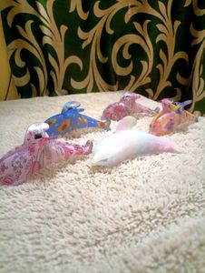 Colorful Dolphin Hair Claw - Set of 5