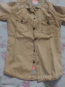 Stylish Button-Down Shirt