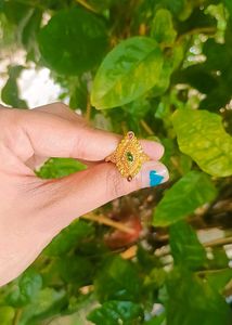Gold Polished Ring