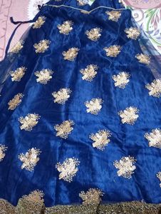 Blue Embellished Lehenga Choli