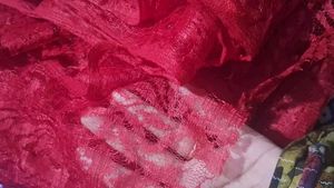 Net Design Saree