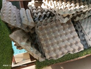 Around 115 Egg Crates