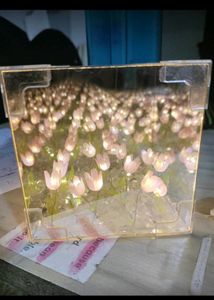 Handmade Tulip Mirror Light. Night Light