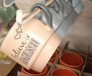 2pc Mugs