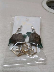 Earrings