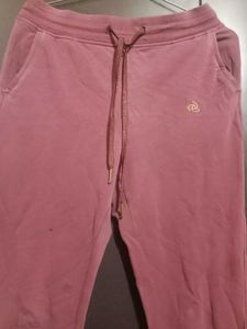 Casual Maroon Joggers