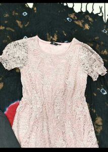 Elegant Lace Fit &amp; Flare Dress