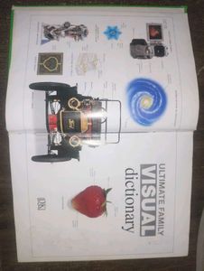Ultimate Family Visual Dictionary