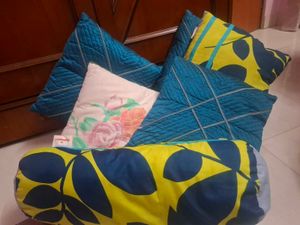 CUSHIONS WITH COVER