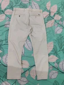 Brown Pant