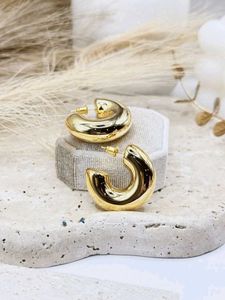 Chunky Pintersty Earrings