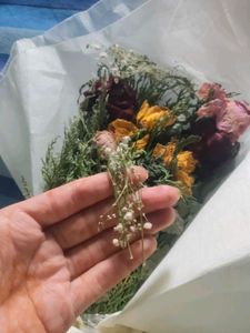 Dry Flower