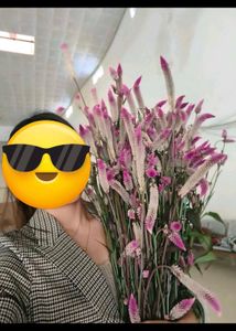 H&amp;M Plaid Blazer