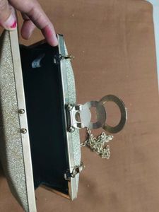 Elegant Evening Clutch