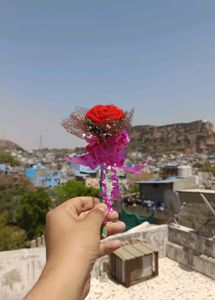Crochet Single Rose Flower Bouquet 💐🌹