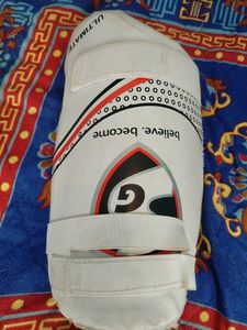 SG Cricket Kit Without Batt