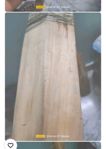 Willow Cricket Bat