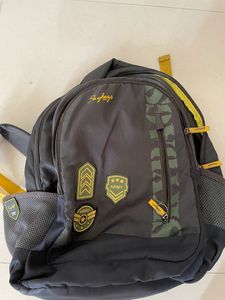 ‼️Price Drop Skaybag Brand Backpack